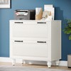 Tribesigns 2-Drawer File Cabinet - 2 of 4