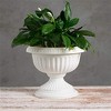 Novelty Grecian Plastic Indoor/Outdoor Urn Planter - 4 of 4