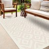 Hauteloom Burl Cream Outdoor Rug - 3 of 4