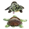 Aurora® Mini Flopsie™ Sealife Duo 8" Inch Plush Set, Splish & Splish-Splash Sea Turtle - 4 of 4