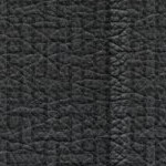 north carolina tar heels