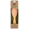 Wet Brush Go Green Coconut Oil Infused Hair Brush - Coral : Target
