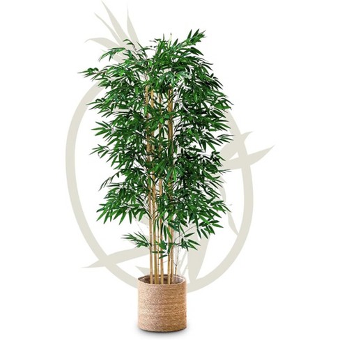 Maia Shop Artificial Bamboo Tree Faux Silk Tropical Home Decoration with Realistic Leaves and Trunks Ideal for Home and Office - image 1 of 4