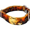 Country Brook Petz HossFit Jr Wide Premium  Dog Collar - Halloween Collection - 3 of 4