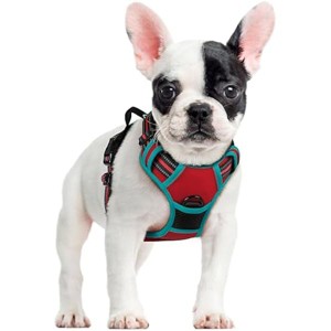 rabbitgoo Dog Harness No Pull with 2 Leash Clips, Adjustable Soft Padded,  Vest with Easy Control Handle for Small Dogs, Red & Teal, S - 1 of 1