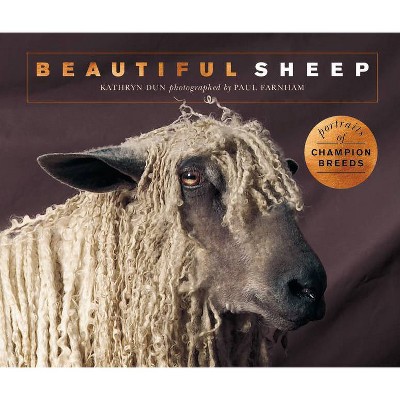 Beautiful Sheep - (Beautiful Animals) by  Kathryn Dun (Paperback)