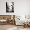 Stupell Industries Forest Light Shining Through Tall Trees Landscape Photography, 30" x 40" - 2 of 4
