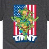 Boys' - Teenage Mutant Ninja Turtles - USA Turtles Short Sleeve Graphic T-Shirt - 2 of 4