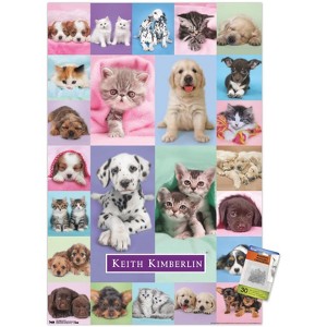 Trends International Keith Kimberlin - Puppies and Kittens Unframed Wall Poster Prints - 1 of 4
