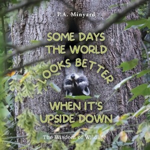 Some days the world looks better when it's upside down - by  P A Minyard (Paperback) - 1 of 1