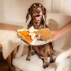 Midlee Thanksgiving Meal Dog Toy Set - Pumpkin Pie & Turkey Leg - 3 of 4