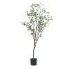 ACEPANO 71 in. H Green Artificial Milan Leaf Bonsai - 4 of 4