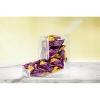 Acrylic Candy Dispenser with Two Lids for Countertop or Wall Mount - Store Chocolate, Treats, Sweets - 4 of 4