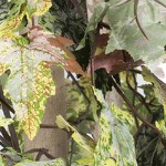 gray plastic container