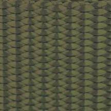 dark olive drab