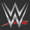 Mens WWE Chrome Logo Lightweight Hoodie - 2 of 4
