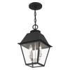 Livex Lighting Mansfield 2 - Light Pendant in  Black - 3 of 4