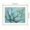 Amanti Art Agave Detail IV by Brittany Evans Wood Framed Wall Art Print - 3 of 4