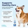Vetnique Chlorhexidine Dog Ear Infection Flush Drops - 12 fl oz - 4 of 4