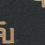 florida state seminoles