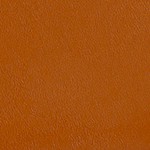 wood color