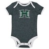 NCAA Hawaii Rainbow Warriors Infant Girls' 3pk Bodysuit - 3 of 4