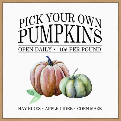 22" x 22" Pick Your Own Pumpkins Portfolio Framed Wall Canvas - Amanti Art