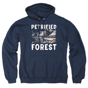 Men's Petrified Forest National Park Majestic Blue Mesa Pull-Over Hoodie - 1 of 4