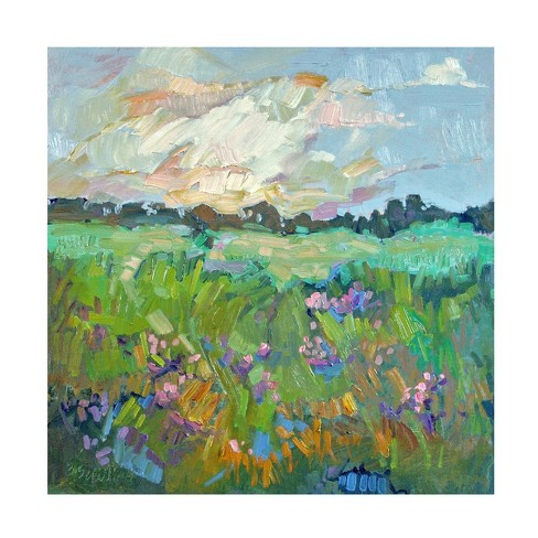 Trademark Fine Art - Barbara Schilling Meadow Wildflowers Canvas Art ...