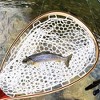 Garvee Fly Fishing Landing Net Trout Fishing Net with Wooden Handle Frame - 2 of 4