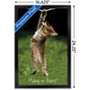 Trends International Famous Kitten Hang In There Poster Framed Wall Poster Prints - image 3 of 4