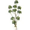 5/6/7 ft Tall Artificial Umbrella Tree, Fake Indoor Plant with Multiple Trunks, Faux Schefflera Tree in Decorative White Planter, Real Touch Leaves - 2 of 4