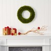 Nearly Natural 18” Moss Artificial Wreath - 3 of 3