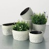 Sullivans Cement Double Planter Vase 4"H Off-White - 3 of 3