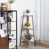 2/3/4 Tiers Bamboo Tall Ladder Plant Stand Flower Pots Display Shelf Flower Bench Holder Indoor for Corner Space Storage - 2 of 4