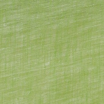 chambray lime green