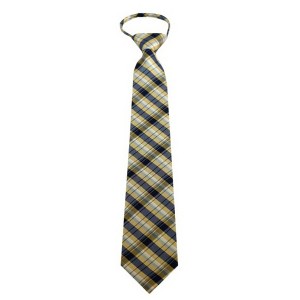 Men's Plaid 3.25 Inch W And 20 Inch L Zipper Neckties - 1 of 3