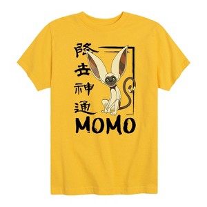 Boys' - Avatar: The Last Airbender - Momo Cute Short Sleeve Graphic T-Shirt - 1 of 4
