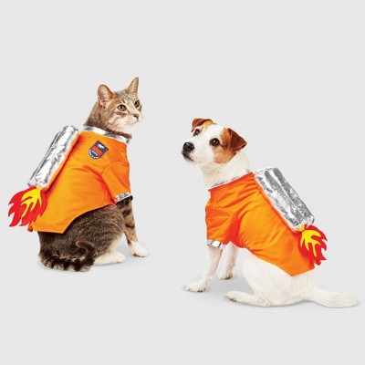 Dog And Cat Halloween Costumes Most Popular For 2019