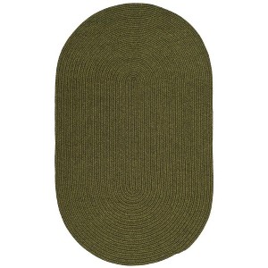 Braided BRD315 Hand Woven Area Rug  - Safavieh - 1 of 1