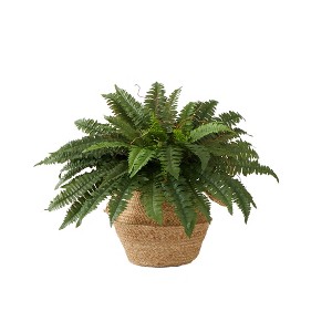 Nearly Natural 23-in Artificial Boston Fern Plant with Handmade Jute & Cotton Basket DIY KIT - 1 of 4
