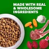 IAMS Proactive Health Minichunks Lamb and Rice Flavor Dry Dog Food - 3 of 4
