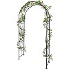 Outdoor Metal Garden Arch, Lawn Arbor with Stakes, Garden Arch Arbor Trellis for Climbing Plants, Roses, Vines, Wedding Archway Decor - 2 of 4