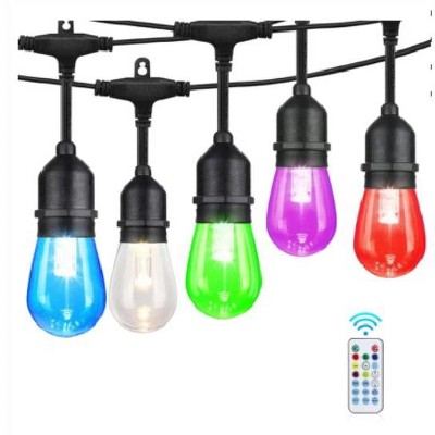 Westinghouse 48 FT., 24 Bulb Color Changing String Light