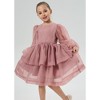 2Bunnies Girls' Organza Long Sleeve Tiered Babydoll Skater Dress - 2 of 4