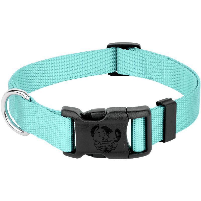 Country Brook Petz American Made Deluxe Nylon Dog Collar - Light Cyan, Large, 1 of 9