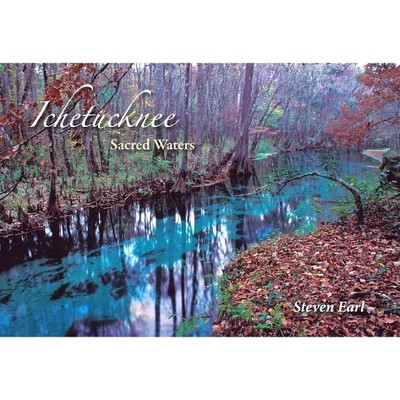 Ichetucknee - by  Steven Earl (Hardcover)