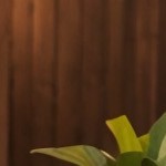 blue cushion/gray wicker