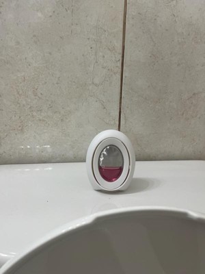 Guest review image 1 of 4, zoom in