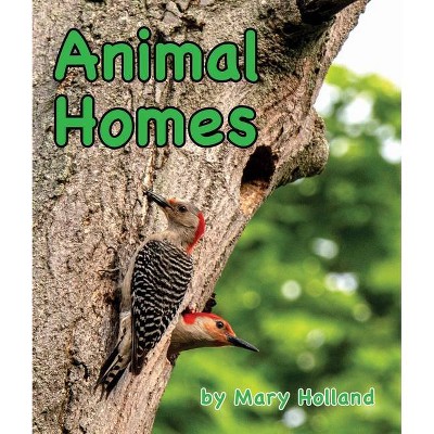 Animal Homes - (Animal Anatomy & Adaptations) by  Mary Holland (Paperback)